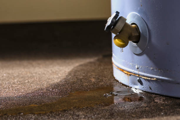 Best Fire Damage Restoration  in Kemah, TX