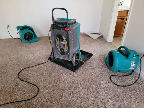 Best 24/7 water damage repair  in Kemah, TX