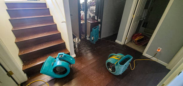 Best Mold removal after water damage  in Kemah, TX