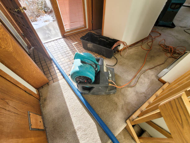 Best Water damage restoration near me  in Kemah, TX