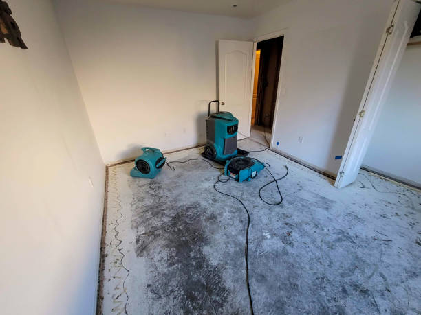 Best Flood restoration services  in Kemah, TX