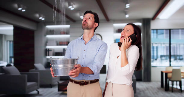 Best Carpet water damage restoration  in Kemah, TX